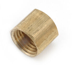 3129X2 1/8" Brass Female NPTF Cap