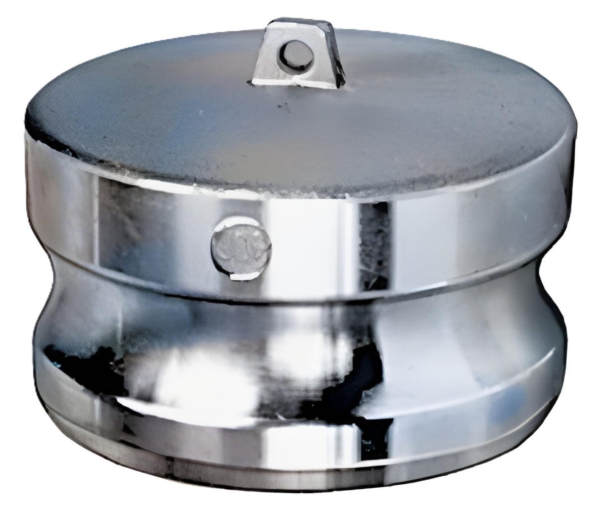 AL-2-1/2-W 2-1/2 Type W Cam and Groove Dust Plug-Aluminum