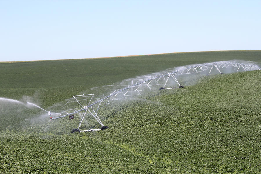 Senninger Pivot-Master Impact Sprinkler 4006 - White