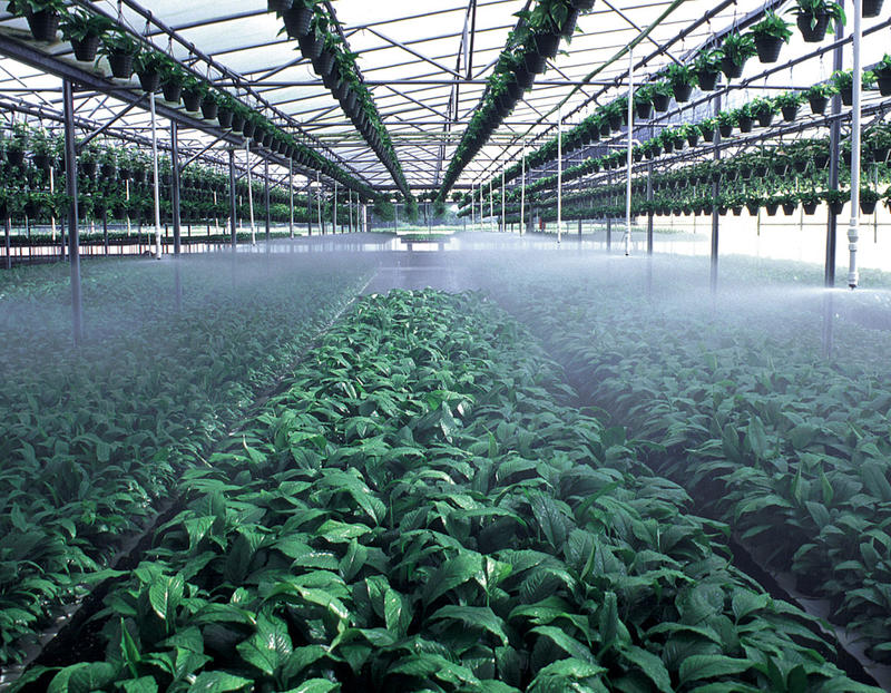 Senninger T-Spray Standard Angle