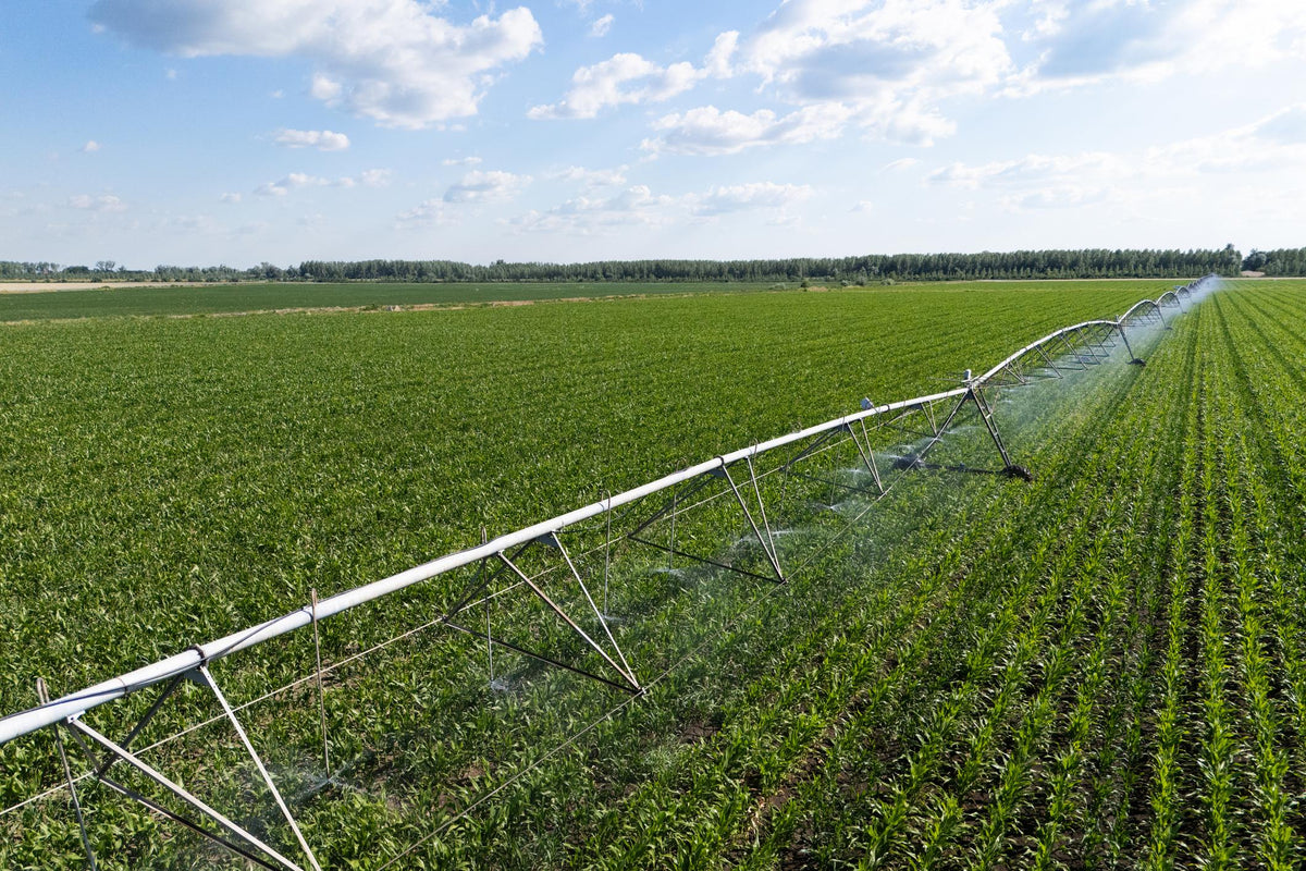How to Choose the Right Sprinkler for Your Irrigation System