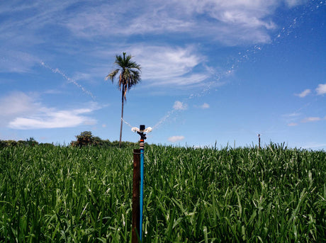 Senninger 23° SINGLE NOZZLE - 30 SERIES impact