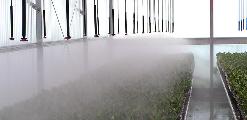 DRADASM15B2F24 - 0.345" Super Barb, 0.345" Tubing (12"), 0.345" Super Barb x Slip Connector, 1⁄ 2" PVC (12"), 1⁄ 2" Slip x 1⁄ 2" F NPT