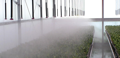 DRADASM152M2F24 - 0.345" Super Barb x 1⁄2" M NPT Connector, Tubing (12"), 0.345" Super Barb x Slip Connector, 1/2" PVC (12") Slip x 1⁄2" F NPT