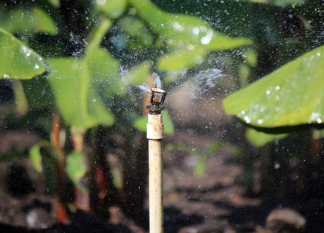 Senninger Mini Wobbler - Inverted 1⁄2" M NPT, blue deflector (complete)