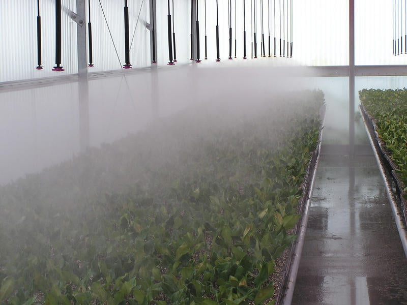 Senninger Mister Inverted Model ¼" Barb