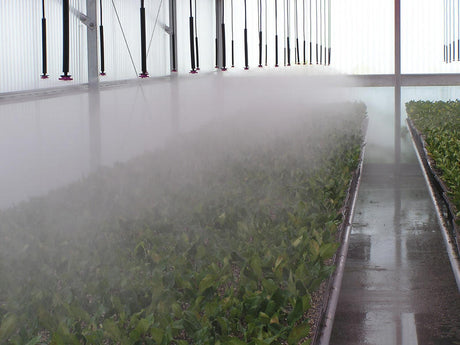 Senninger Mister Inverted Model ¼" Barb