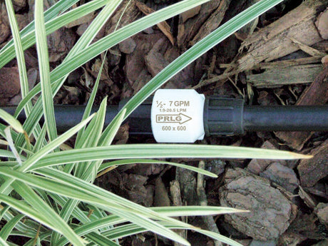 Senninger Pressure Regulator Landscape Grade (PRLG) - NPT