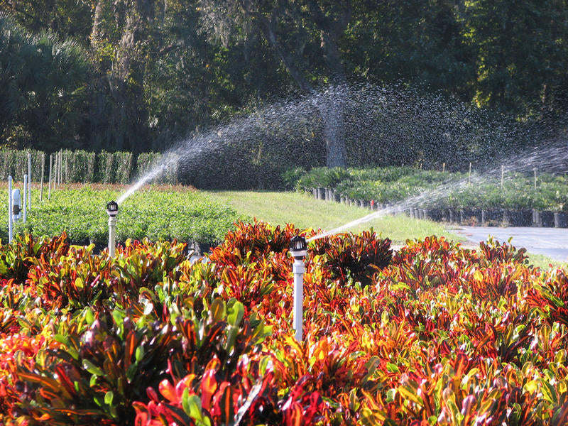 Senninger Smooth Drive High Angle (black base)