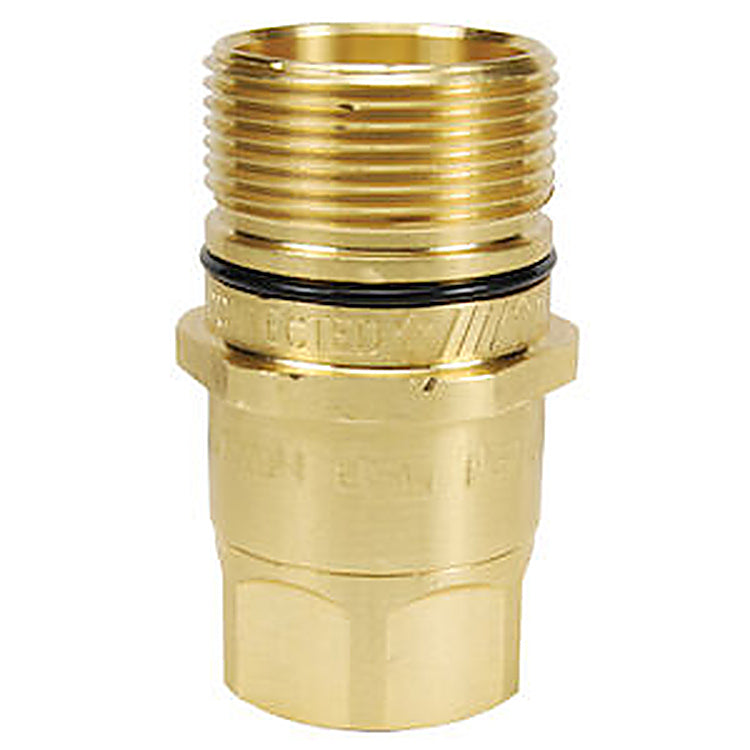 W10F10-B 1-1/4 IN Wing Style Plug x 1-1/4-11-1/2 NPTF with Female Threads - Brass
