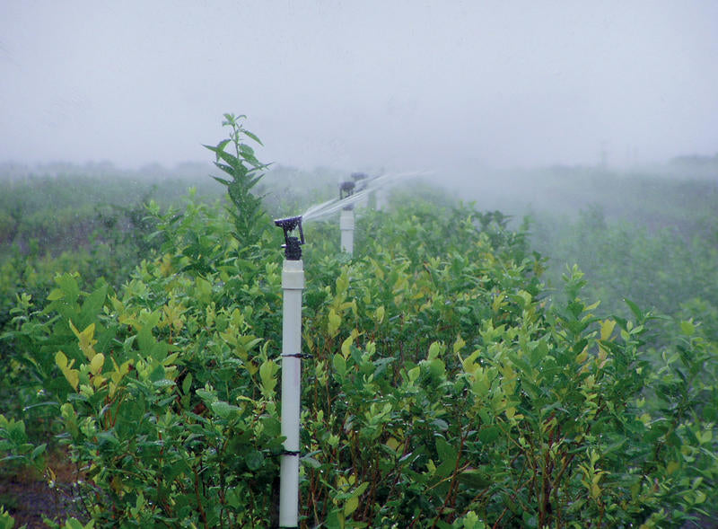 Senninger Wobbler - 3⁄4" M NPT, low-angle, white deflector (complete)