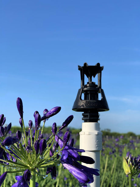 Senninger Xcel Wobbler - 1/2" M NPT, mid-angle, white deflector (complete)